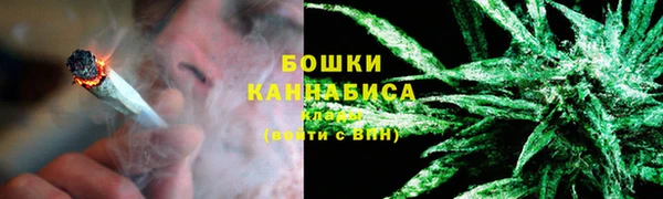 экстази Бородино