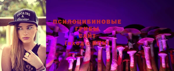 твердый Бронницы