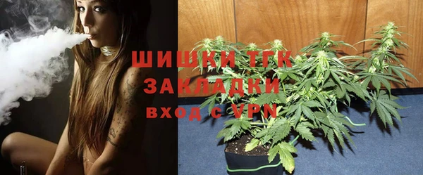 твердый Бронницы