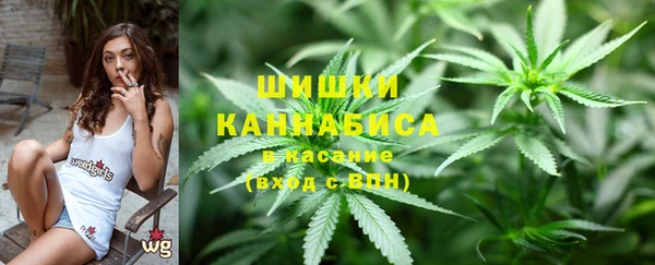экстази Бородино