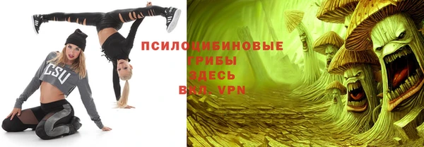 твердый Бронницы